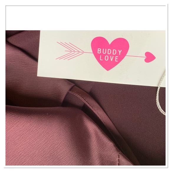 NWT Buddy Love Celine Silk Slip Dress Wine Color Size Medium - Picture 6 of 8